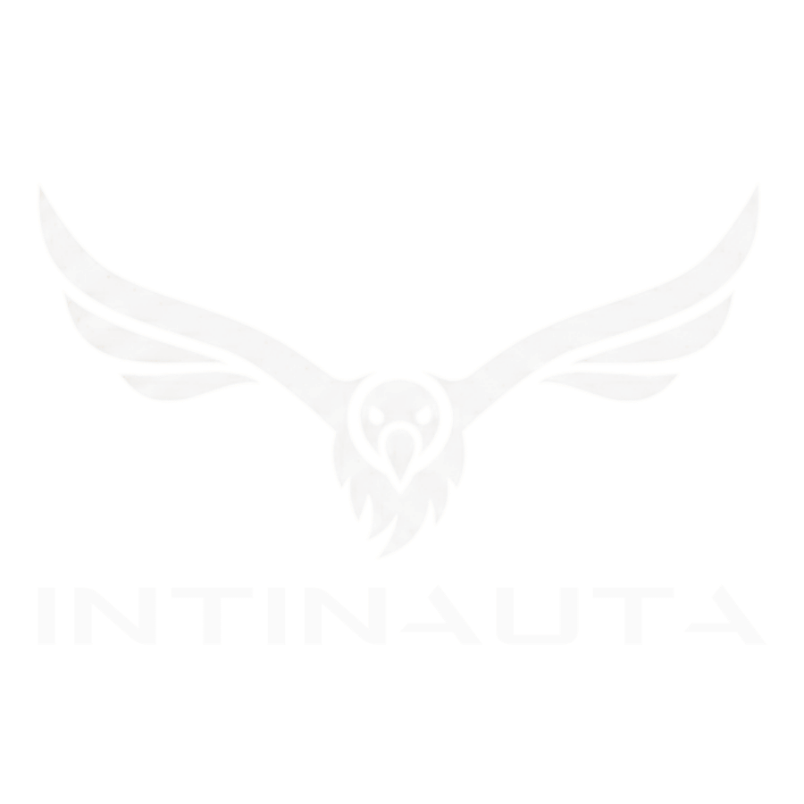 Intinauta Logo - White Monochrome